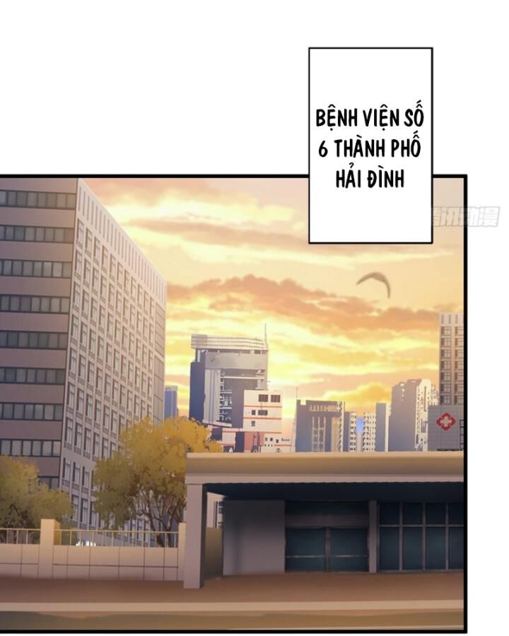 Chương 43
