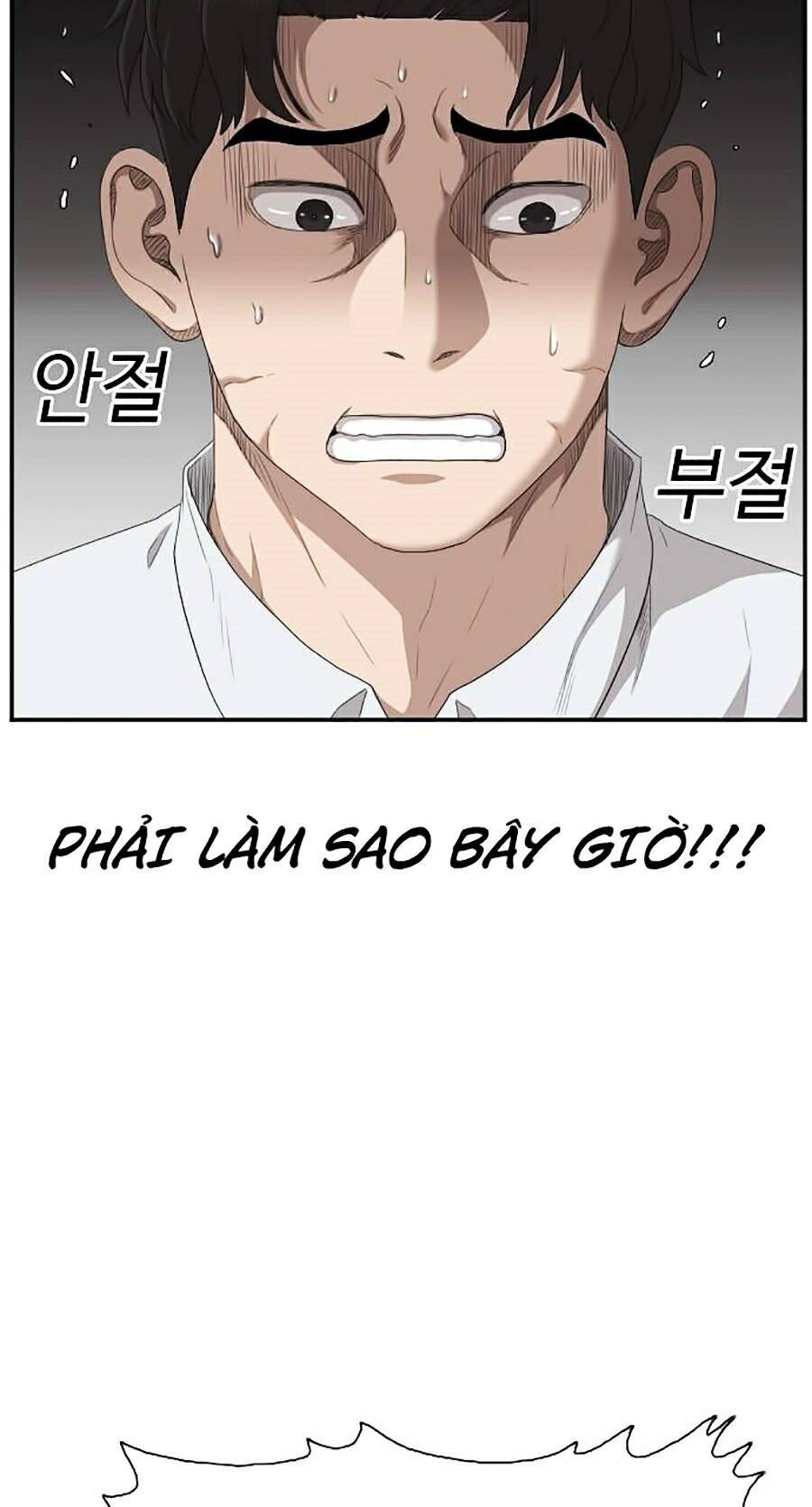Chương 31