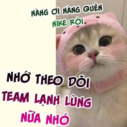 Chương 178