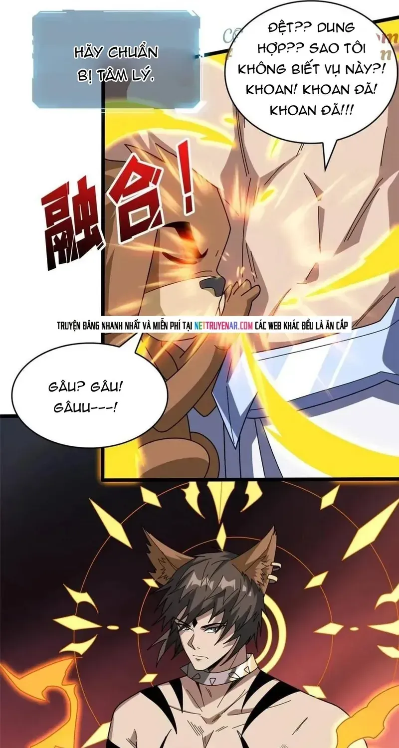 Chương 229