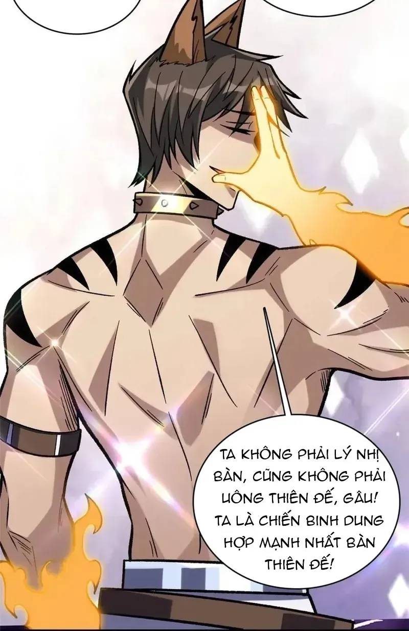Chương 230
