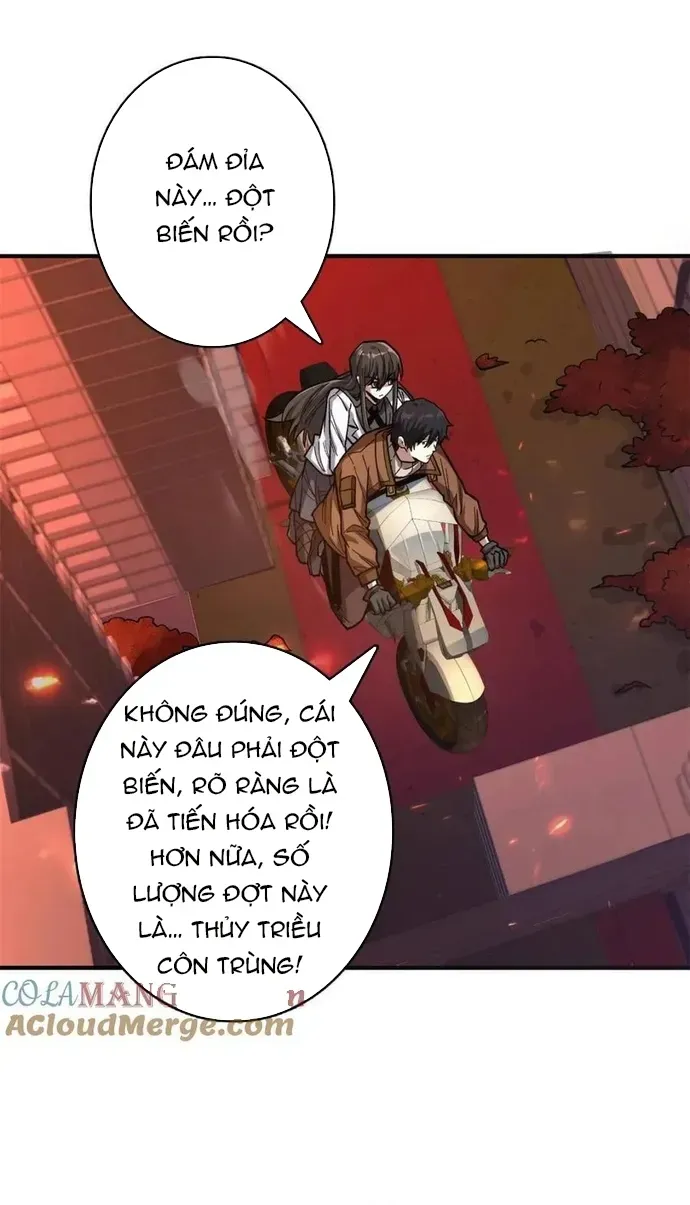 Chương 247