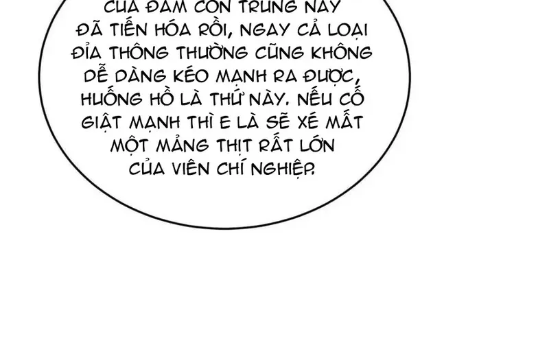 Chương 248