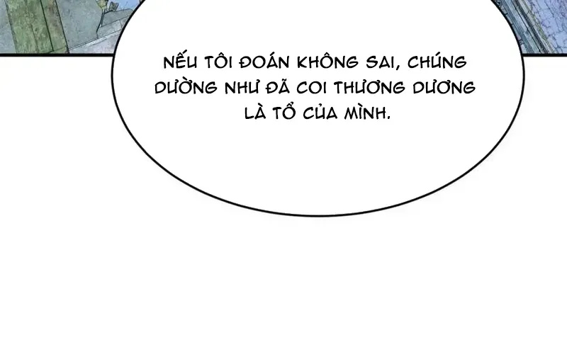 Chương 249