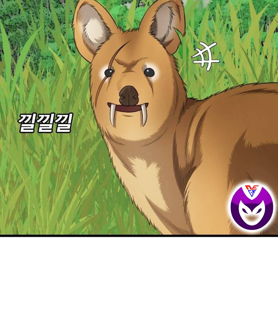 Chương 204