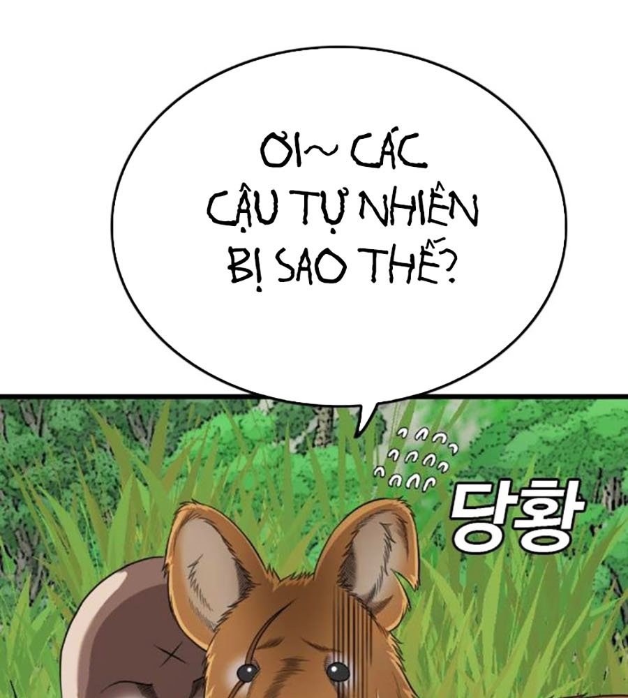 Chương 204