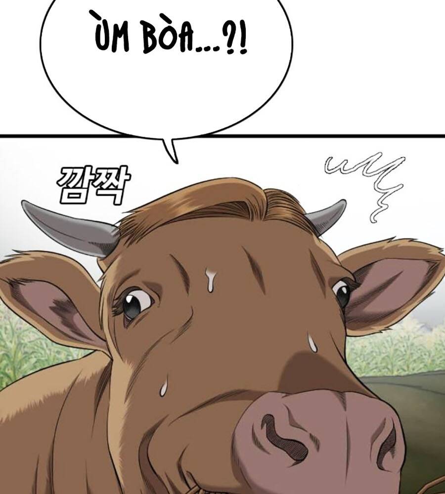 Chương 205