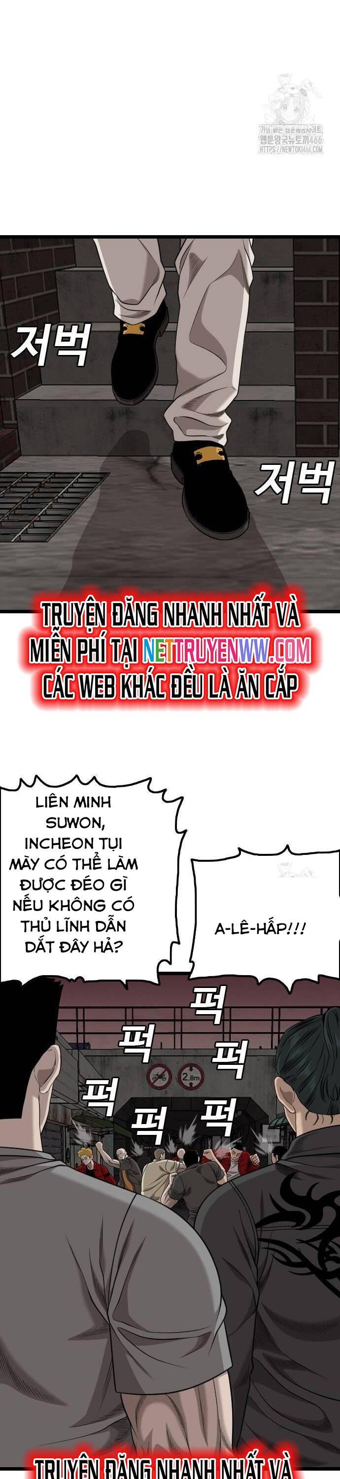 Chương 229