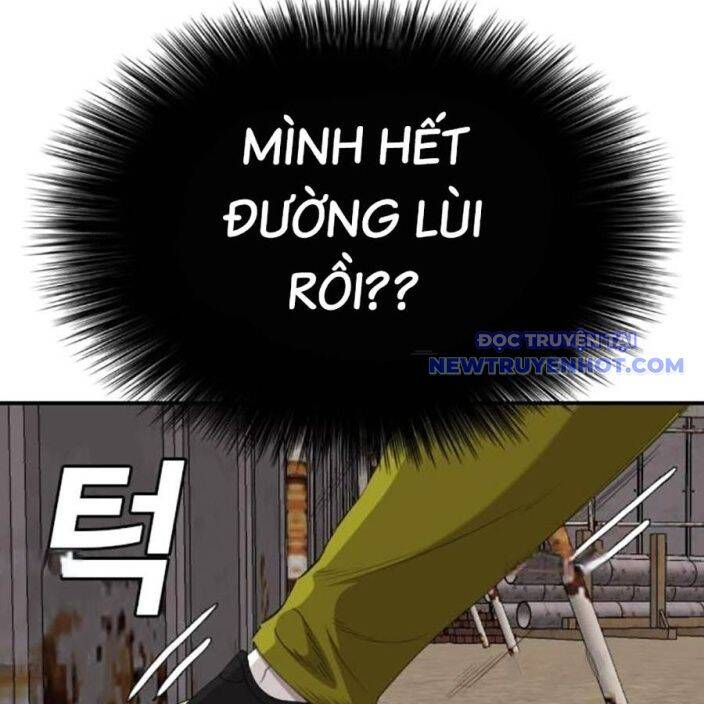 Chương 237
