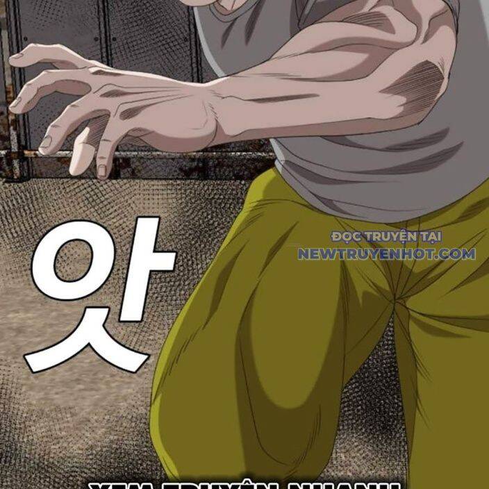 Chương 237