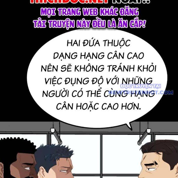 Chương 237