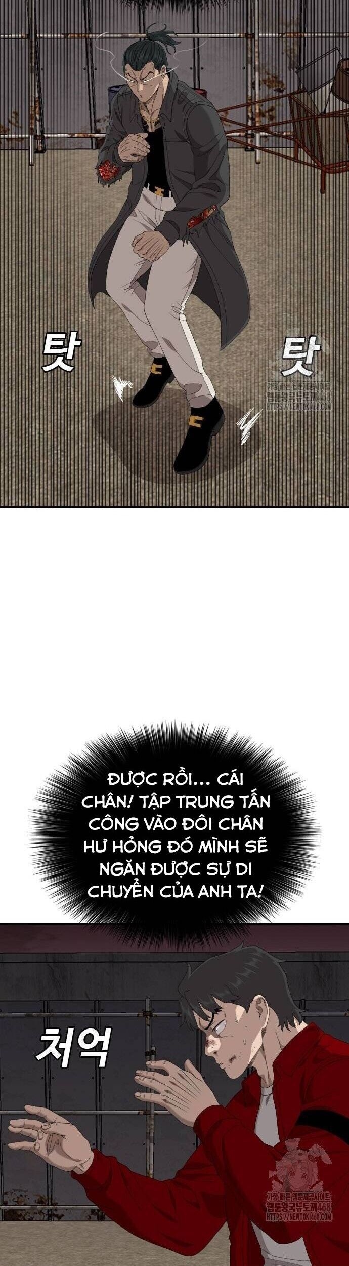 Chương 240