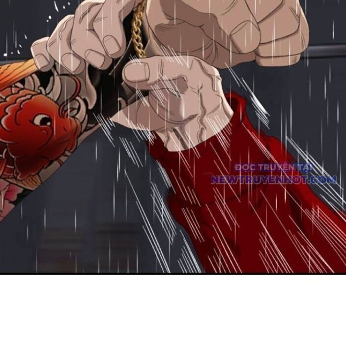 Chương 241