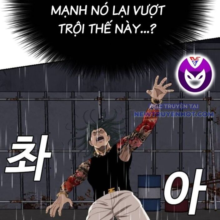 Chương 241