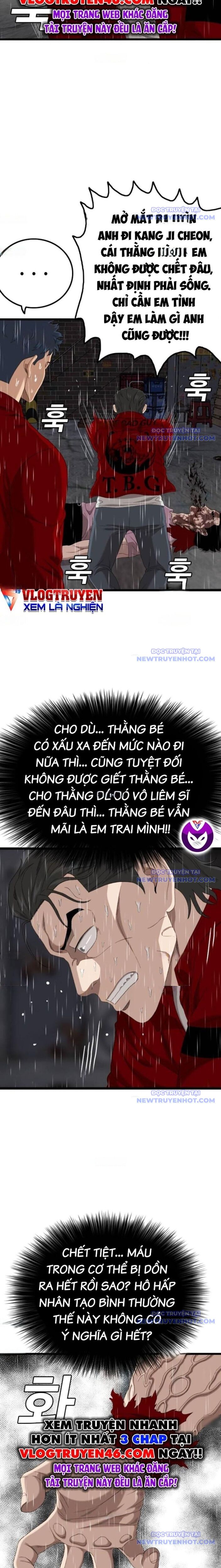 Chương 245