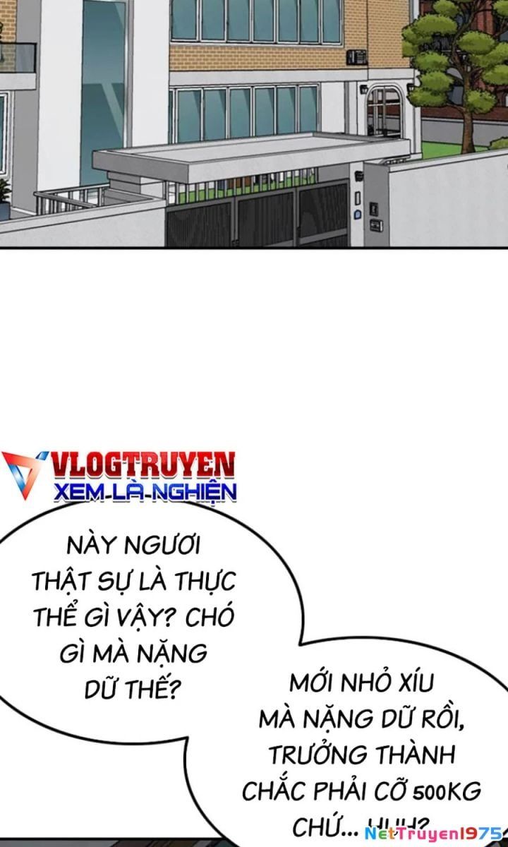 Chương 249