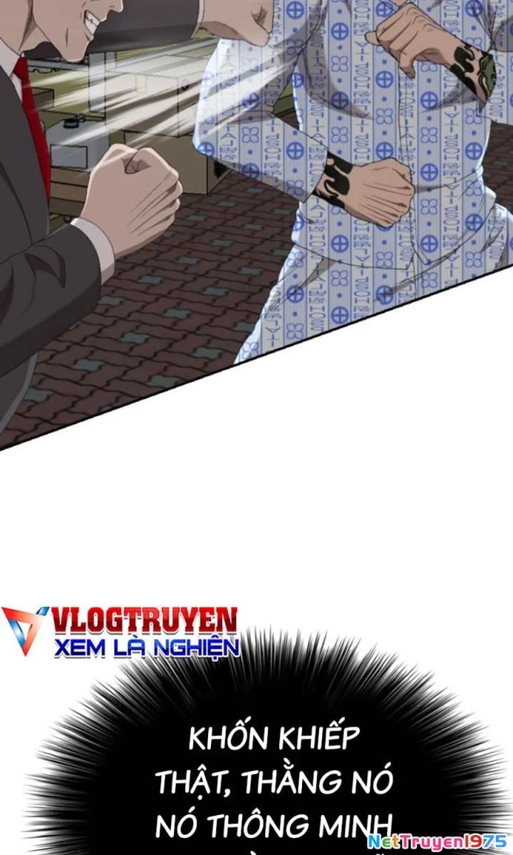 Chương 250