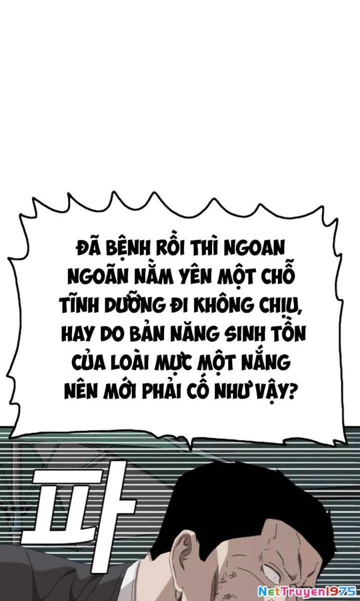 Chương 250