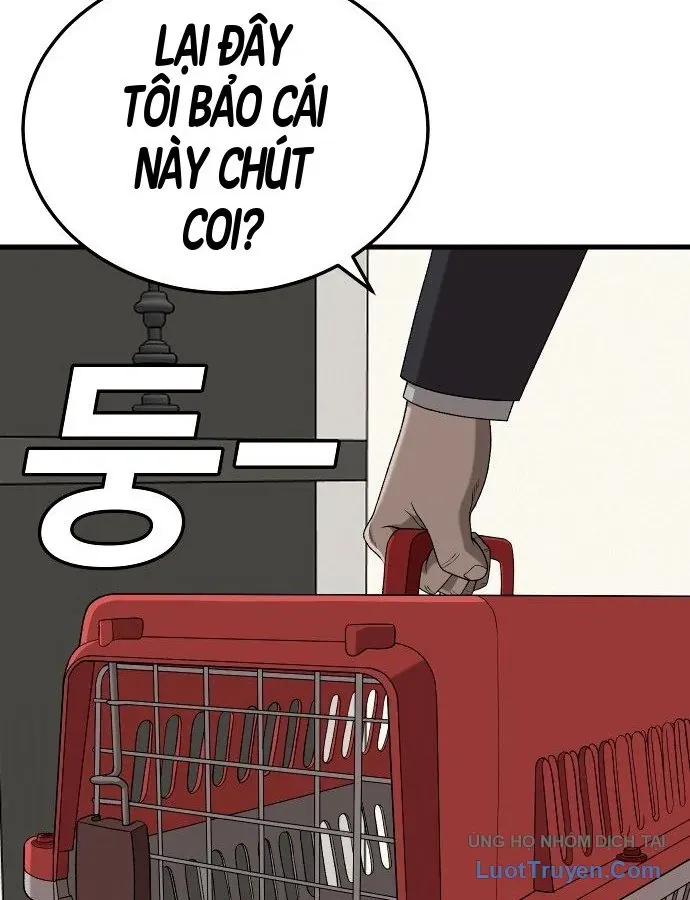 Chương 304