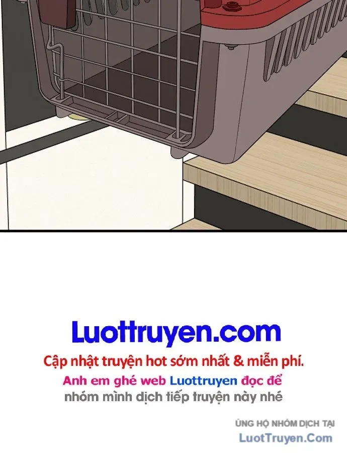 Chương 304