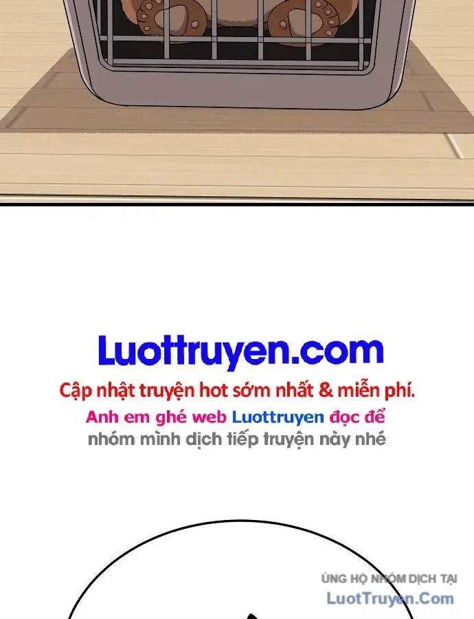 Chương 304