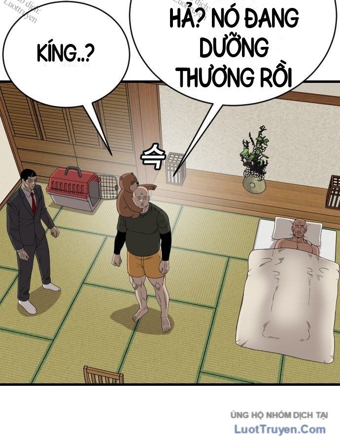 Chương 310