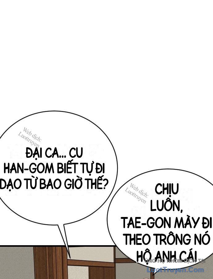 Chương 310