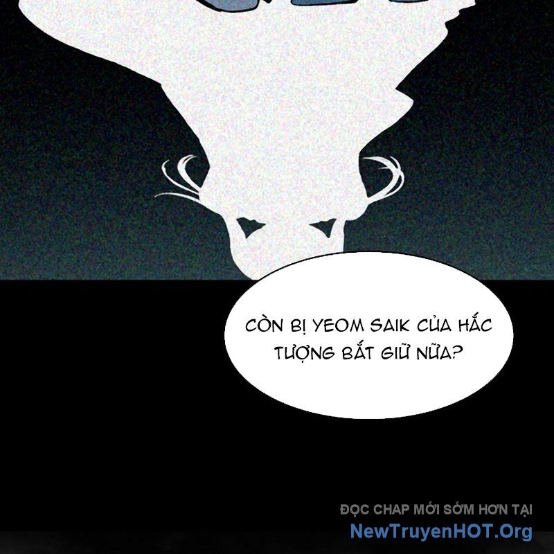 Chương 213