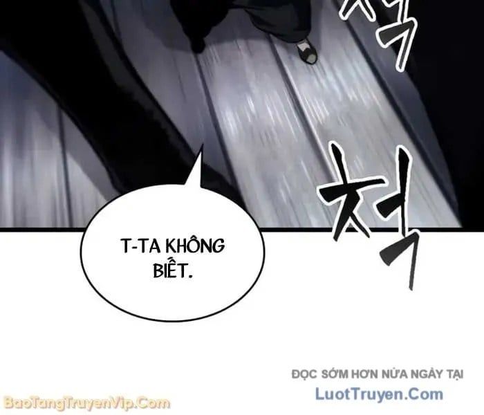 Chương 204