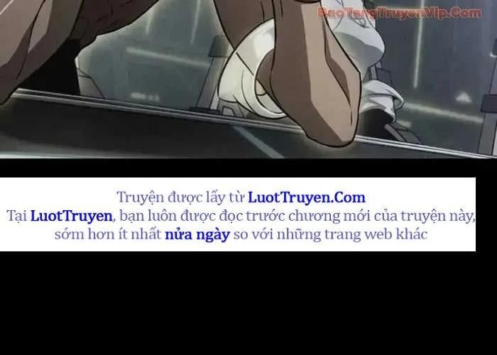 Chương 204