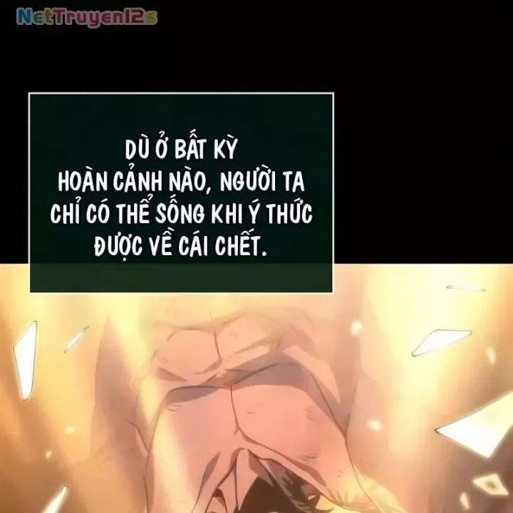 Chương 240