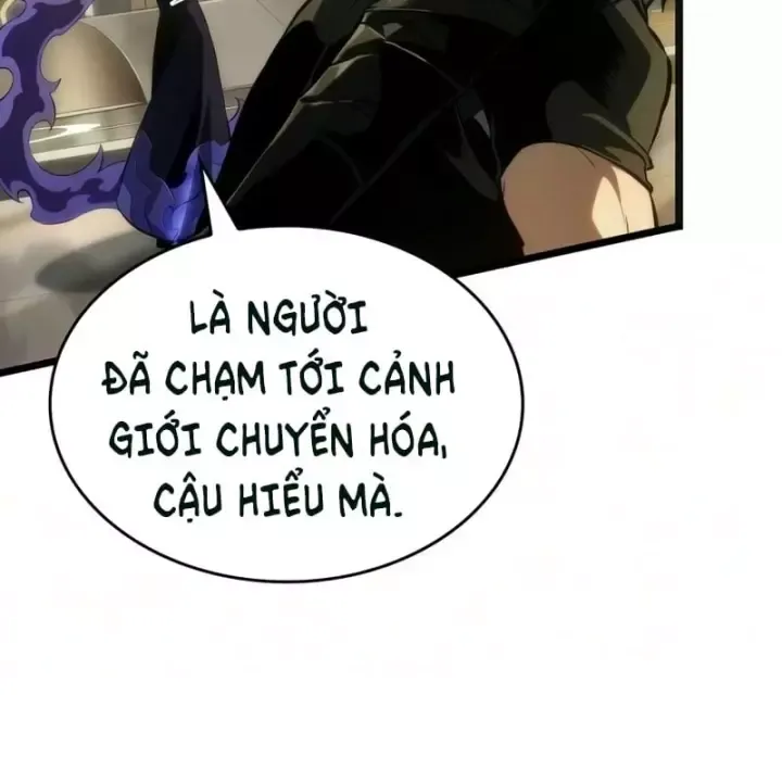 Chương 240