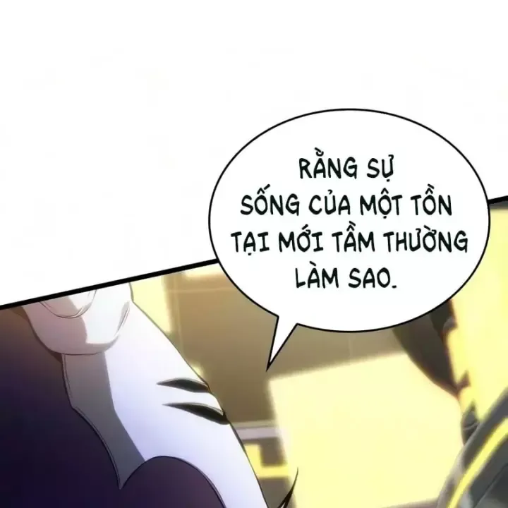 Chương 240