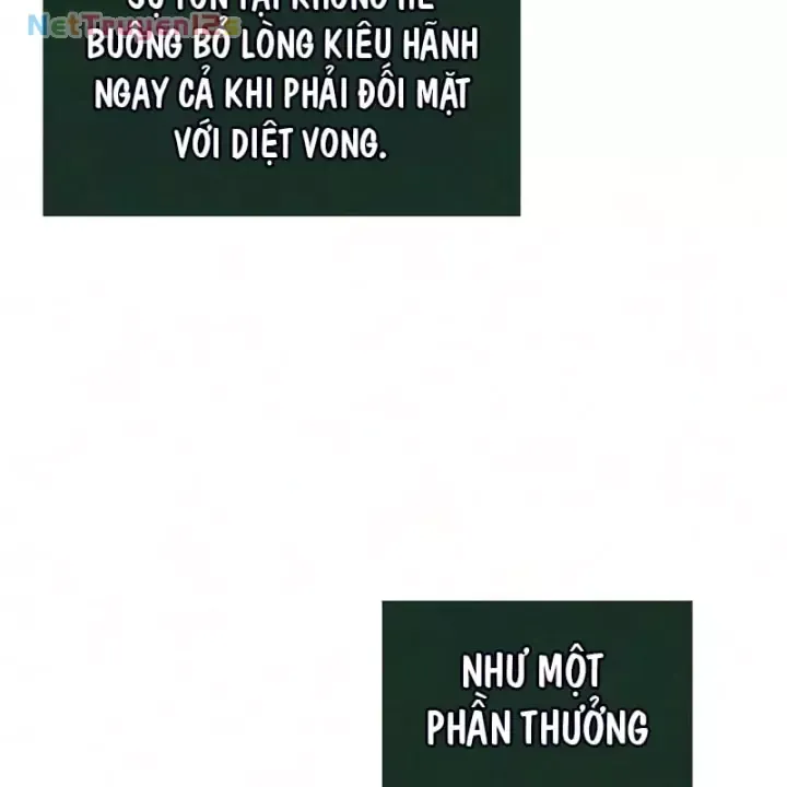 Chương 240