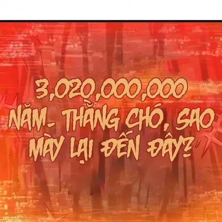 Chương 241