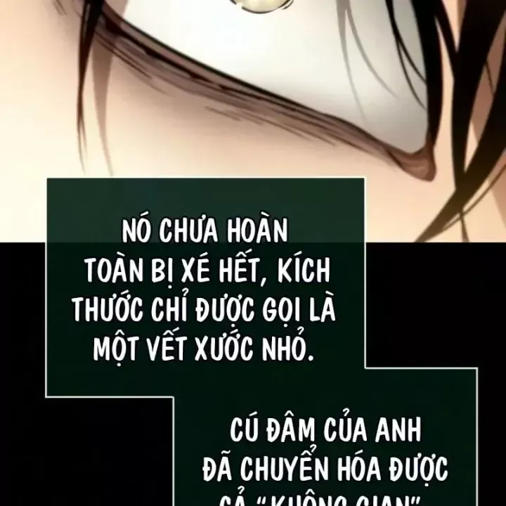 Chương 242