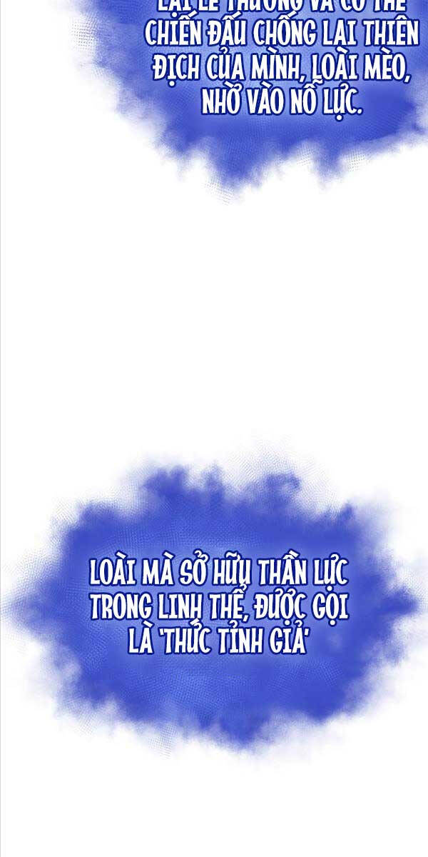 Chương 91