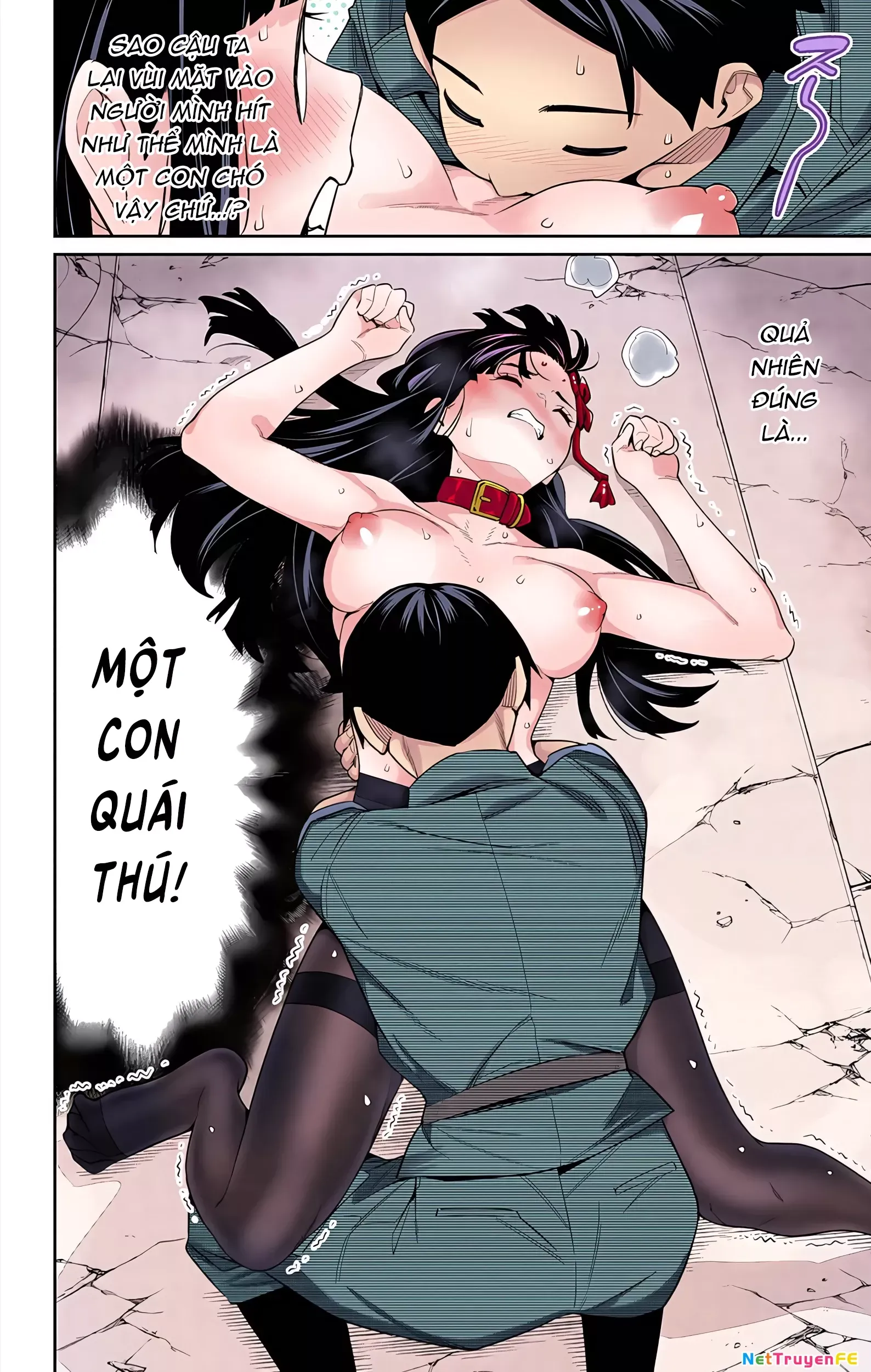 Chương 106.5