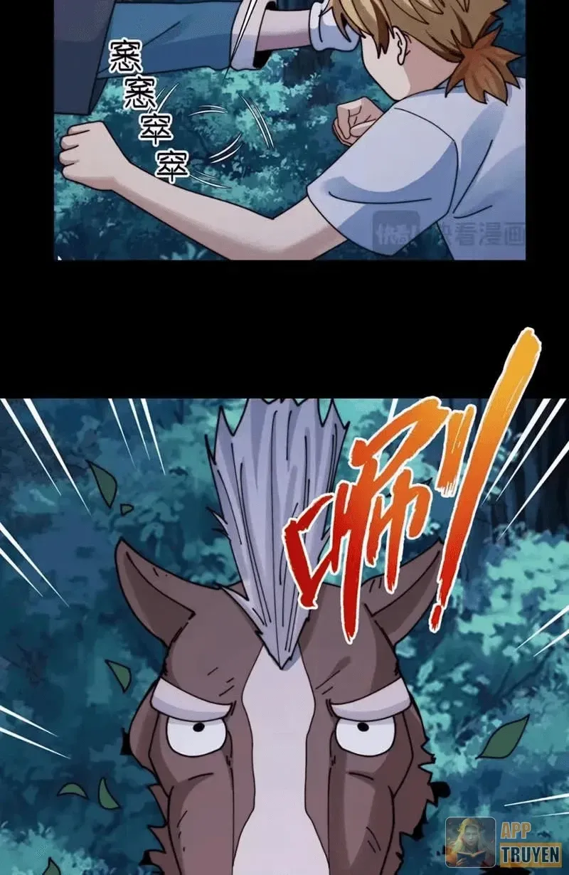 Chương 221