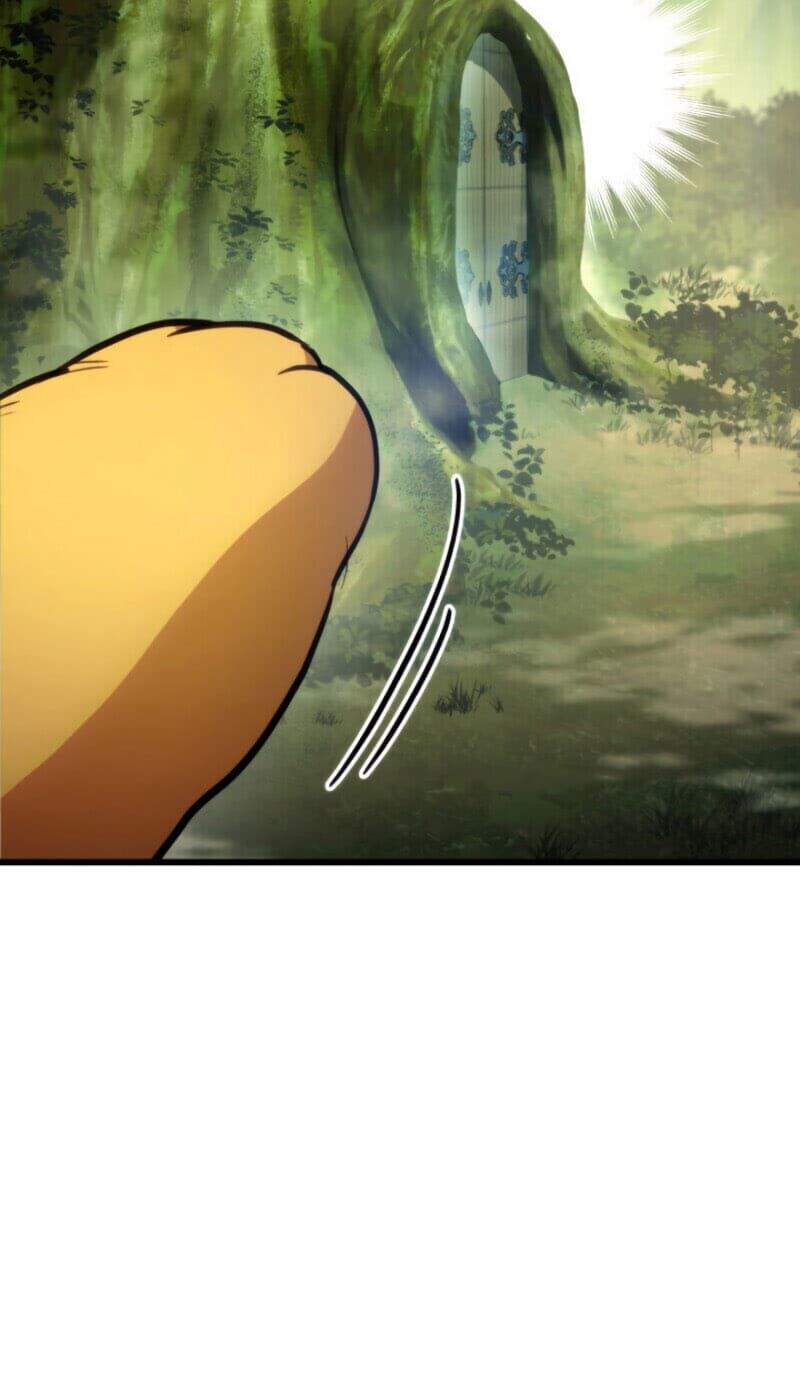 Chương 11