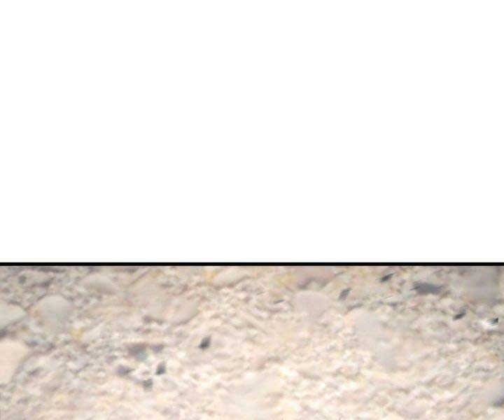 Chương 66