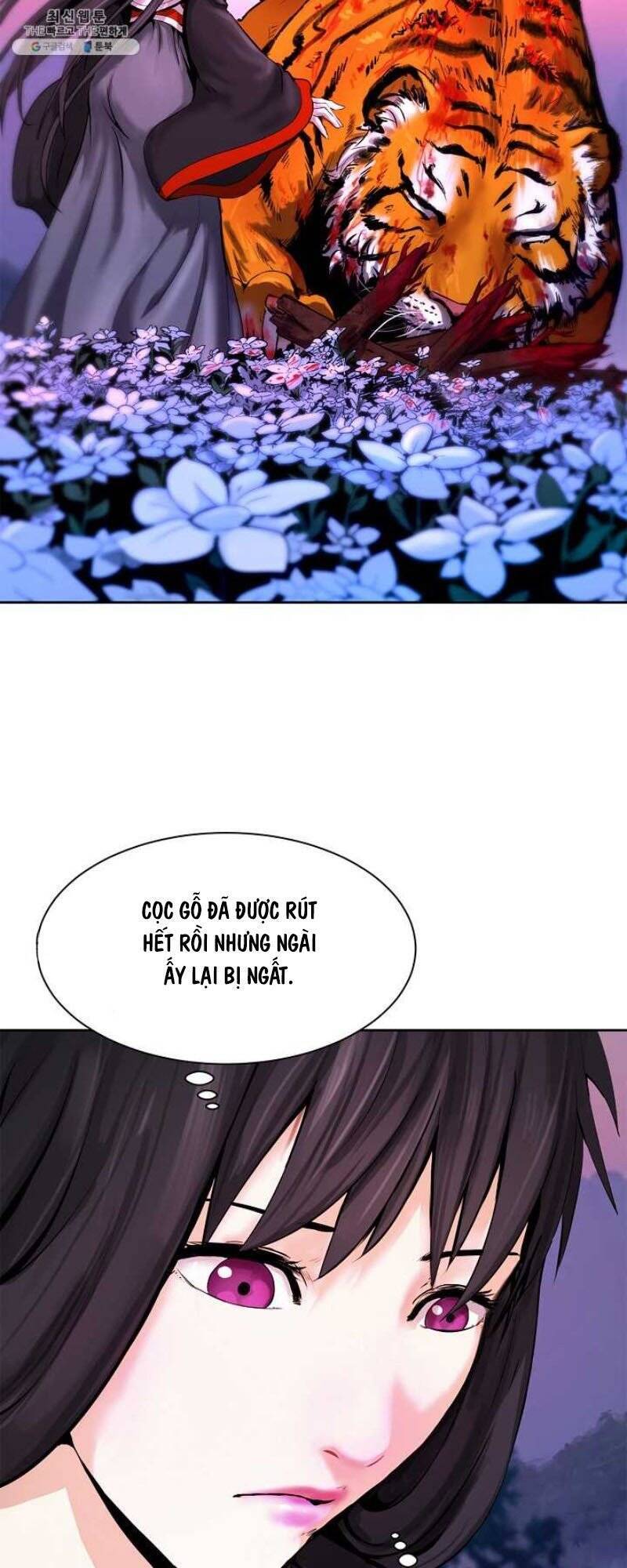 Chương 11