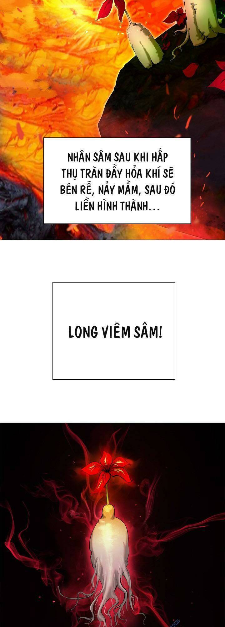 Chương 114