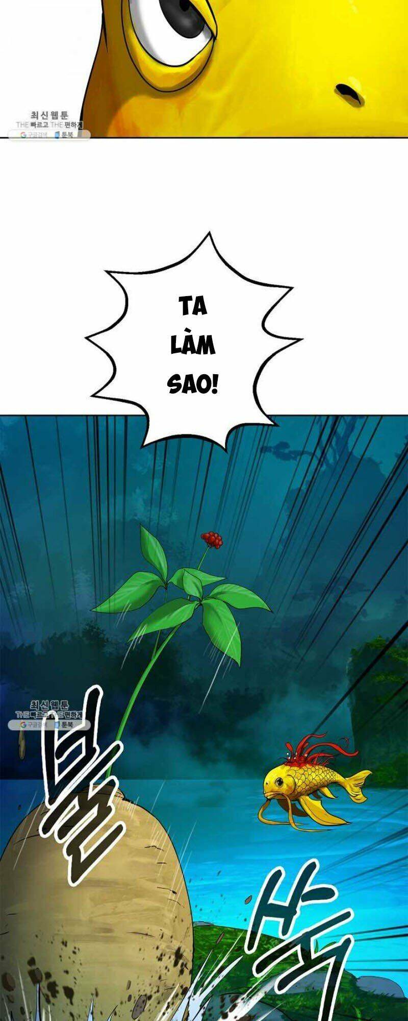 Chương 13