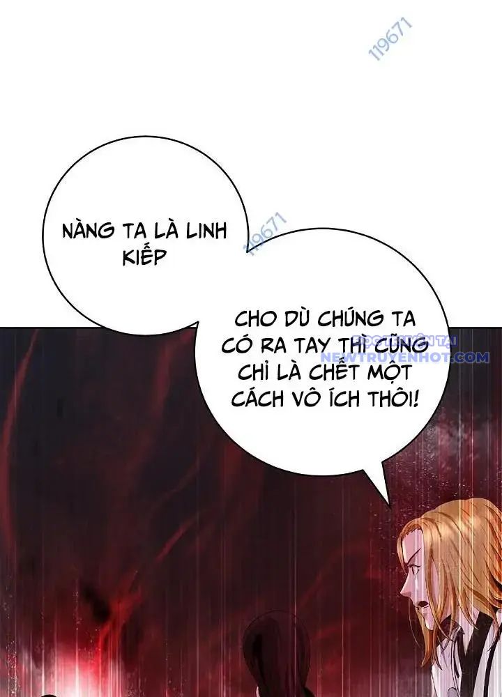 Chương 147