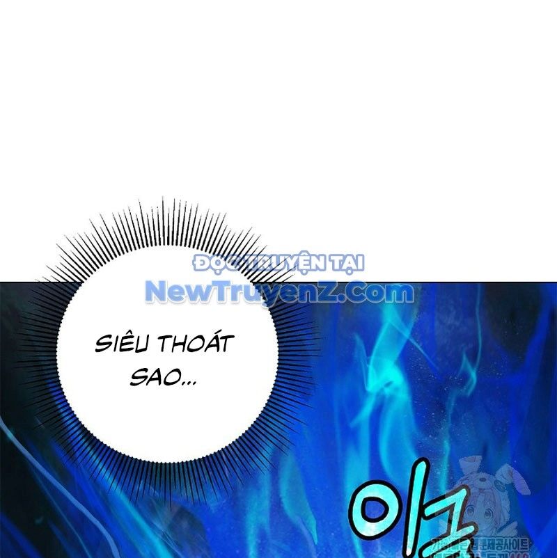 Chương 195