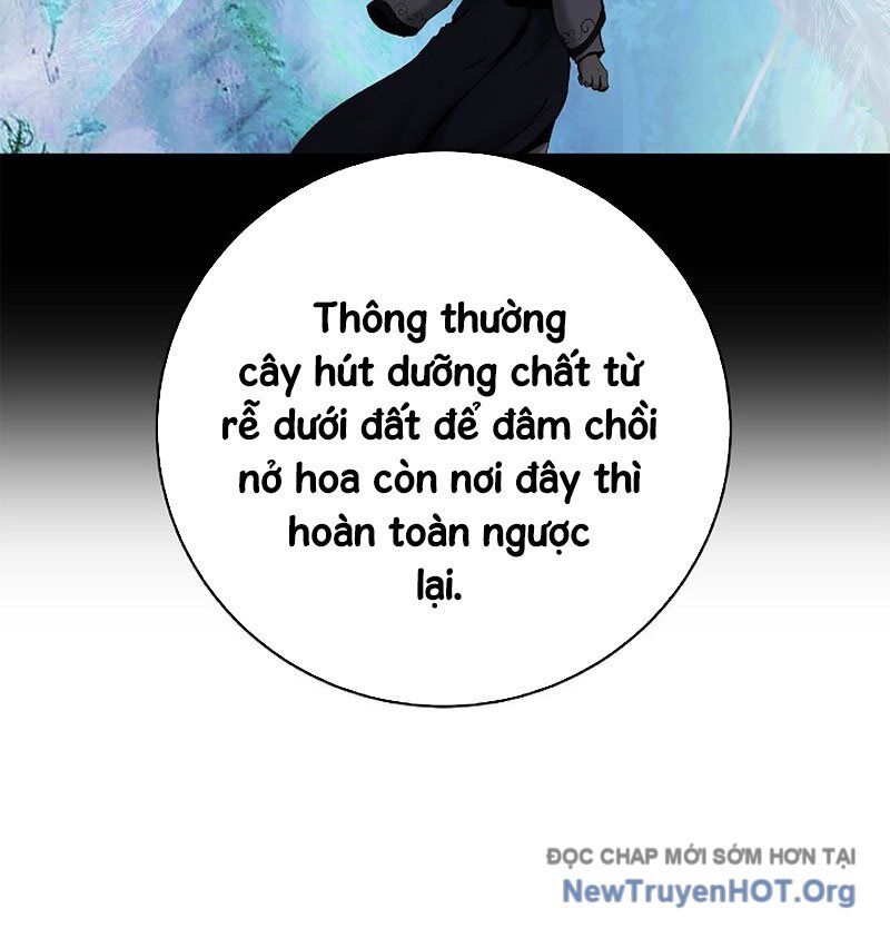 Chương 199