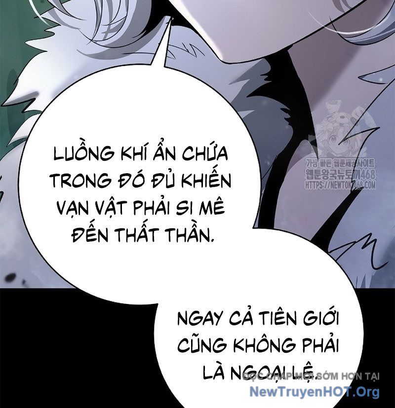 Chương 202