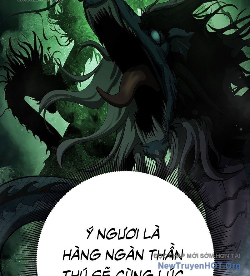 Chương 202