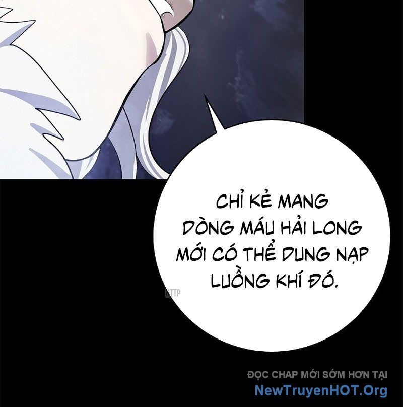 Chương 202